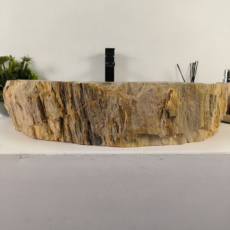 Каменная раковина из окаменелого дерева OD-04459 (77*55*16) 0178 из натурального камня