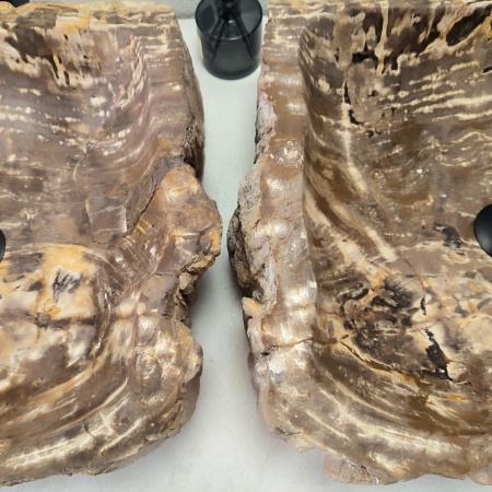 Раковина из окаменелого дерева ПАРА!! Fossil Basin OD-02411 (54*47*15) 0089