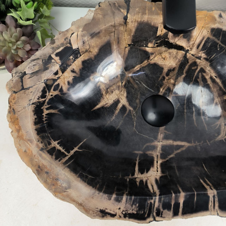 Каменная раковина из окаменелого дерева OD-04621 (50*37*16) 0180 из натурального камня