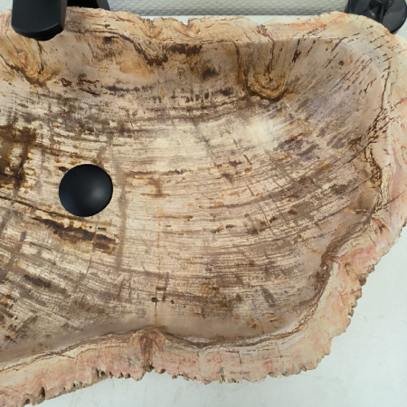 Раковина из окаменелого дерева Fossil Basin OD-02377 (80*40*15) 0091