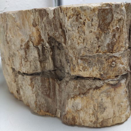 Раковина из окаменелого дерева Fossil Basin OD-01319 (61*45*15) 