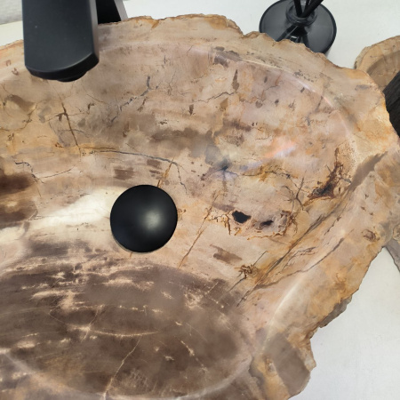 Раковина из окаменелого дерева Fossil Basin OD-02471 (50*32*15) 0092
