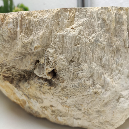 Раковина из окаменелого дерева Fossil Basin OD-01312 (44*36*15) 