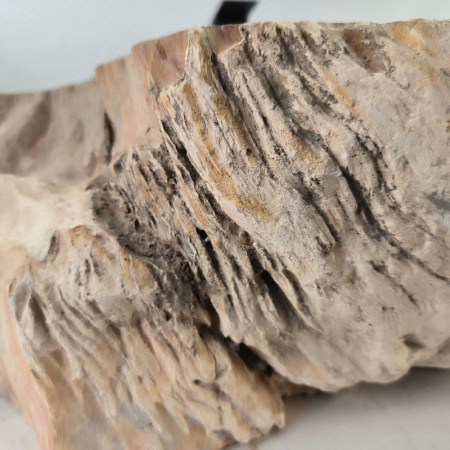 Раковина из окаменелого дерева Fossil Basin OD-02375 (56*42*15) 0088