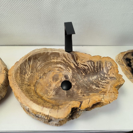 Раковина из окаменелого дерева ПАРА!! Fossil Basin OD-02334 (62*41*15) 0092