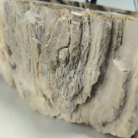 Раковина из окаменелого дерева Fossil Basin OD-02159 (56*42*15) 0088