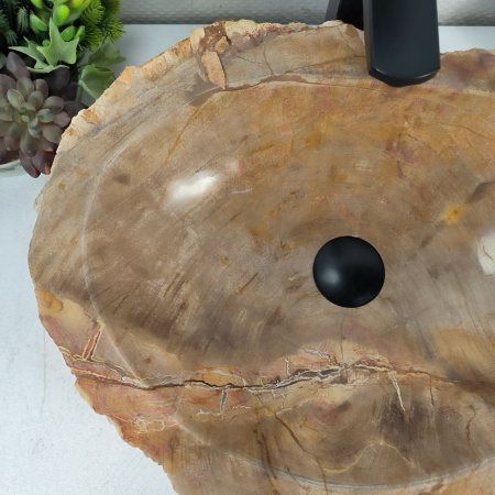 Каменная раковина из окаменелого дерева OD-04571 (52*38*15) 0175 из натурального камня