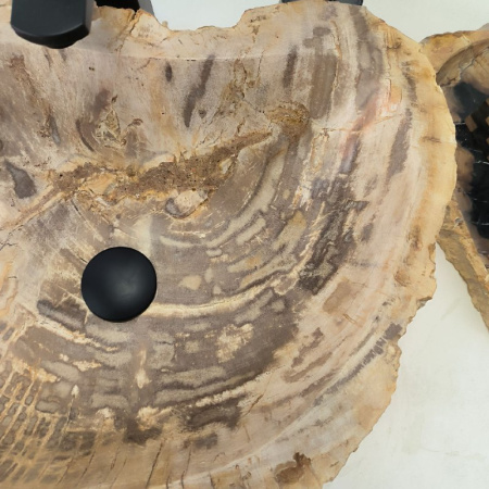 Раковина из окаменелого дерева Fossil Basin OD-02370 (50*41*14) 0089