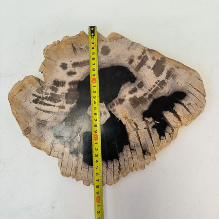 Набор из окаменелого дерева 4 предм Fossil Set NF-03286 поднос 149
