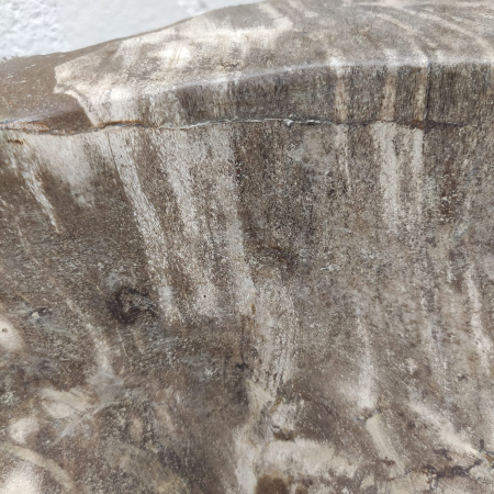 Раковина из окаменелого дерева Fossil Basin OD-01297 (54*46*15) 
