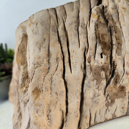 Раковина из окаменелого дерева Fossil Basin OD-02445 (46*42*15) 0088