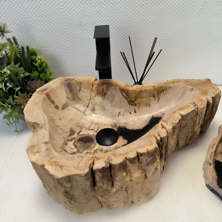 Раковина из окаменелого дерева Fossil Basin OD-02488 (54*39*15) 0092