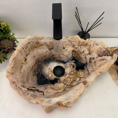 Раковина из окаменелого дерева Fossil Basin OD-02367 (52*38*15) 0088