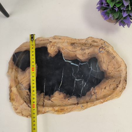 Набор из окаменелого дерева 3 предм Fossil Set NF-02866 поднос 23см*34см