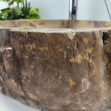 Раковина из окаменелого дерева Fossil Basin OD-02135 (58*41*15) 0089