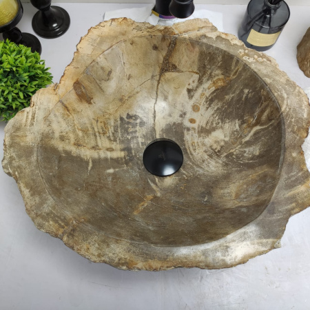 Раковина из окаменелого дерева Fossil Basin OD-00417 (43*39*15) 
