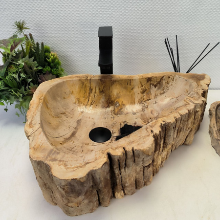 Раковина из окаменелого дерева Fossil Basin OD-02489 (53*43*16) 0092