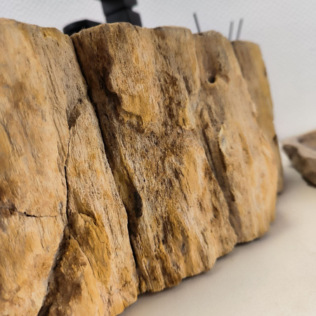 Раковина из окаменелого дерева Fossil Basin OD-02498 (53*42*15) 0092