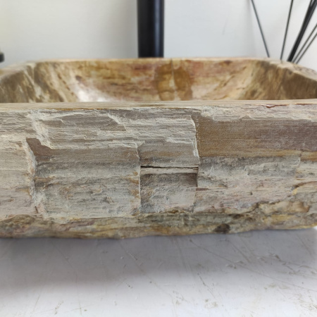 Раковина из окаменелого дерева Fossil Basin OD-00783 (36*34*15) 