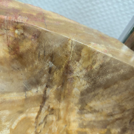 Раковина из окаменелого дерева Fossil Basin OD-02156 (51*42*15) 0088