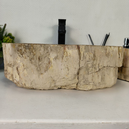 Каменная раковина из окаменелого дерева OD-04352 (49*39*16) 0175 из натурального камня