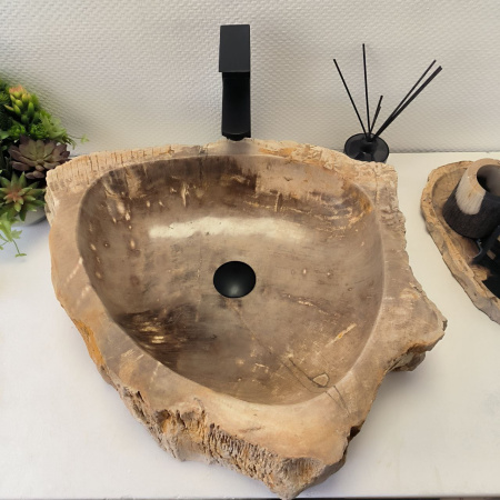 Раковина из окаменелого дерева Fossil Basin OD-02464 (56*50*16) 0092