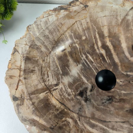 Каменная раковина из окаменелого дерева OD-04368 (55*47*16) 0175 из натурального камня