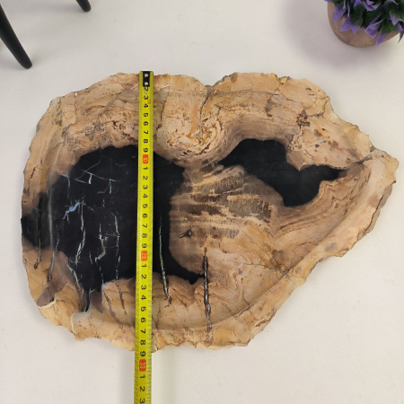 Набор из окаменелого дерева 4 предм Fossil Set NF-02857 поднос 29см*39см