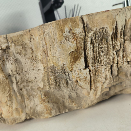 Каменная раковина из окаменелого дерева OD-04691 (49*37*15) 0175 из натурального камня