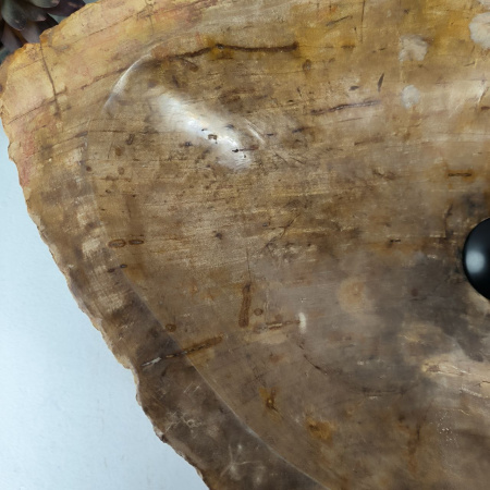Каменная раковина из окаменелого дерева OD-04463 (66*42*15) 0177 из натурального камня