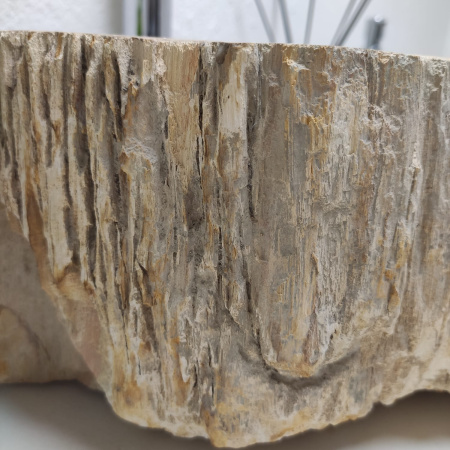 Раковина из окаменелого дерева Fossil Basin OD-01286 (49*37*15) 