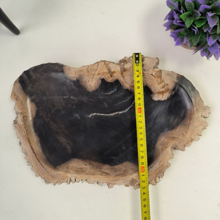 Набор из окаменелого дерева 3 предм Fossil Set NF-02867 поднос 23см*36см