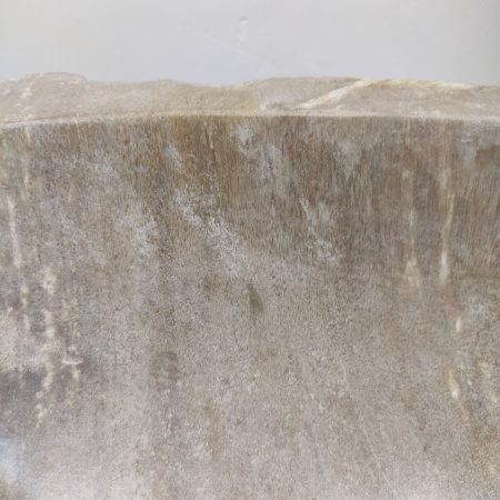 Раковина из окаменелого дерева Fossil Basin OD-01124 (55*39*15) 